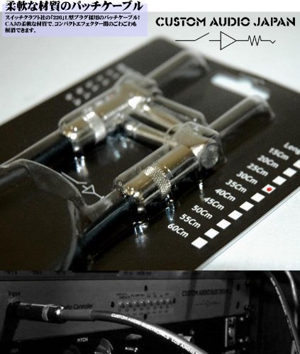 Amazon | Custom Audio Japan (カスタムオーディオジャパン